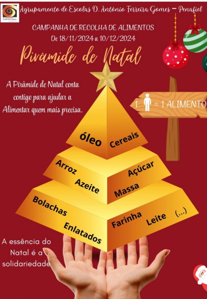 Cartaz Natal Solidário 2024