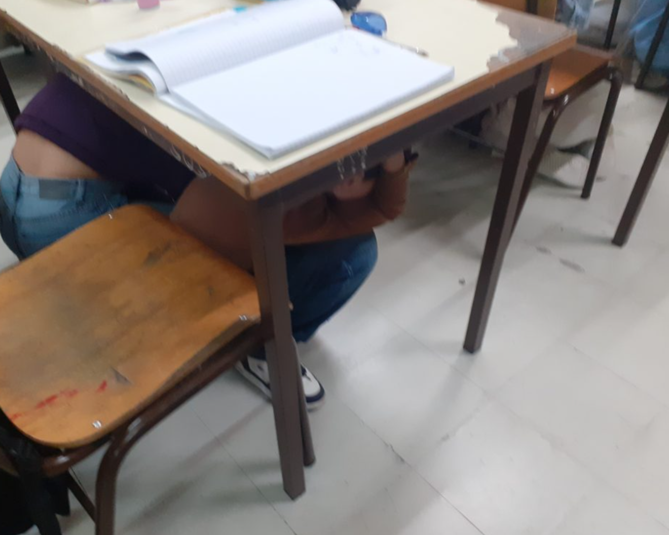 TerraTreme_nov2024_01