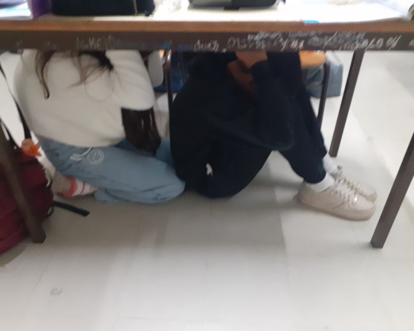 TerraTreme_nov2024_02