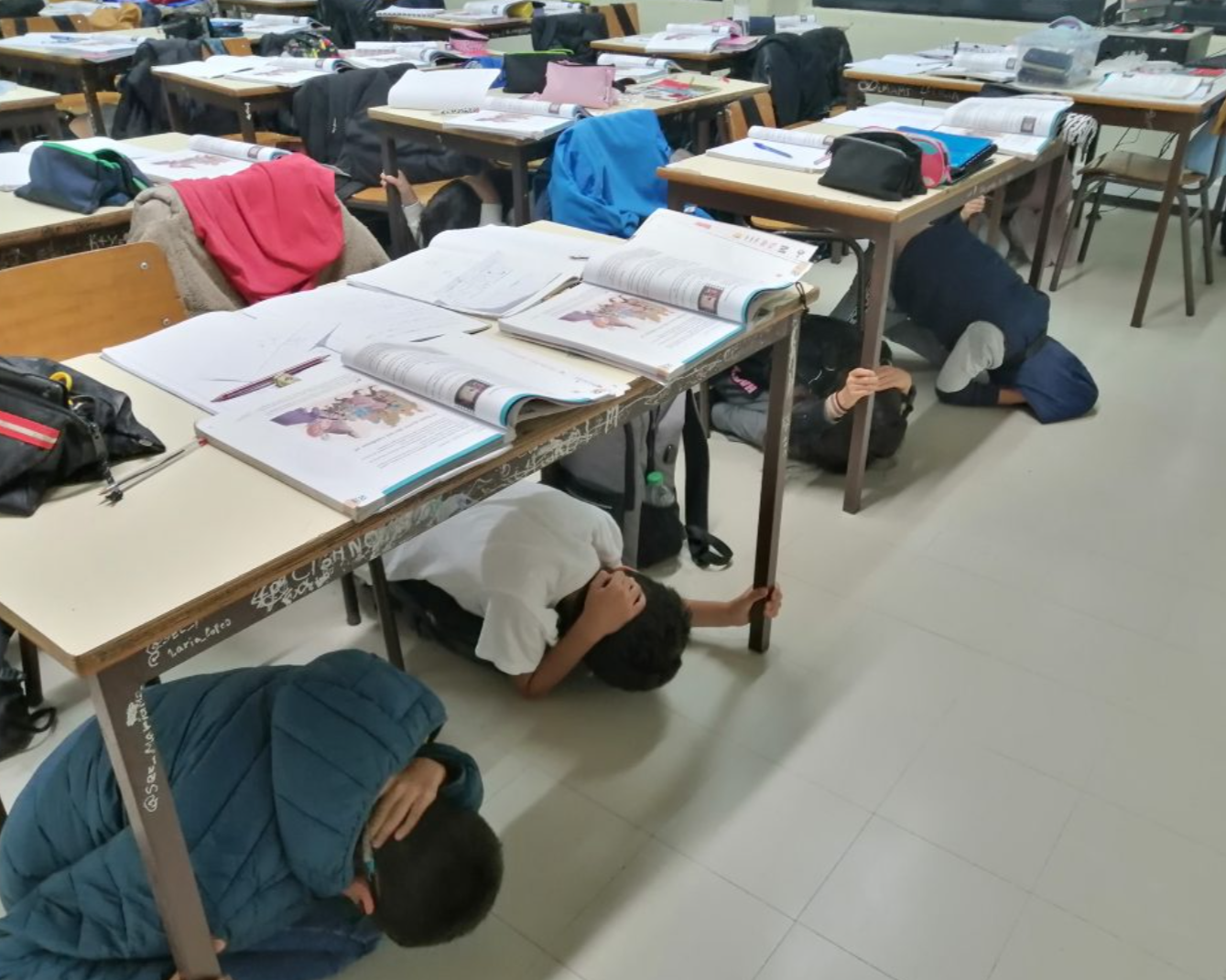 TerraTreme_nov2024_06