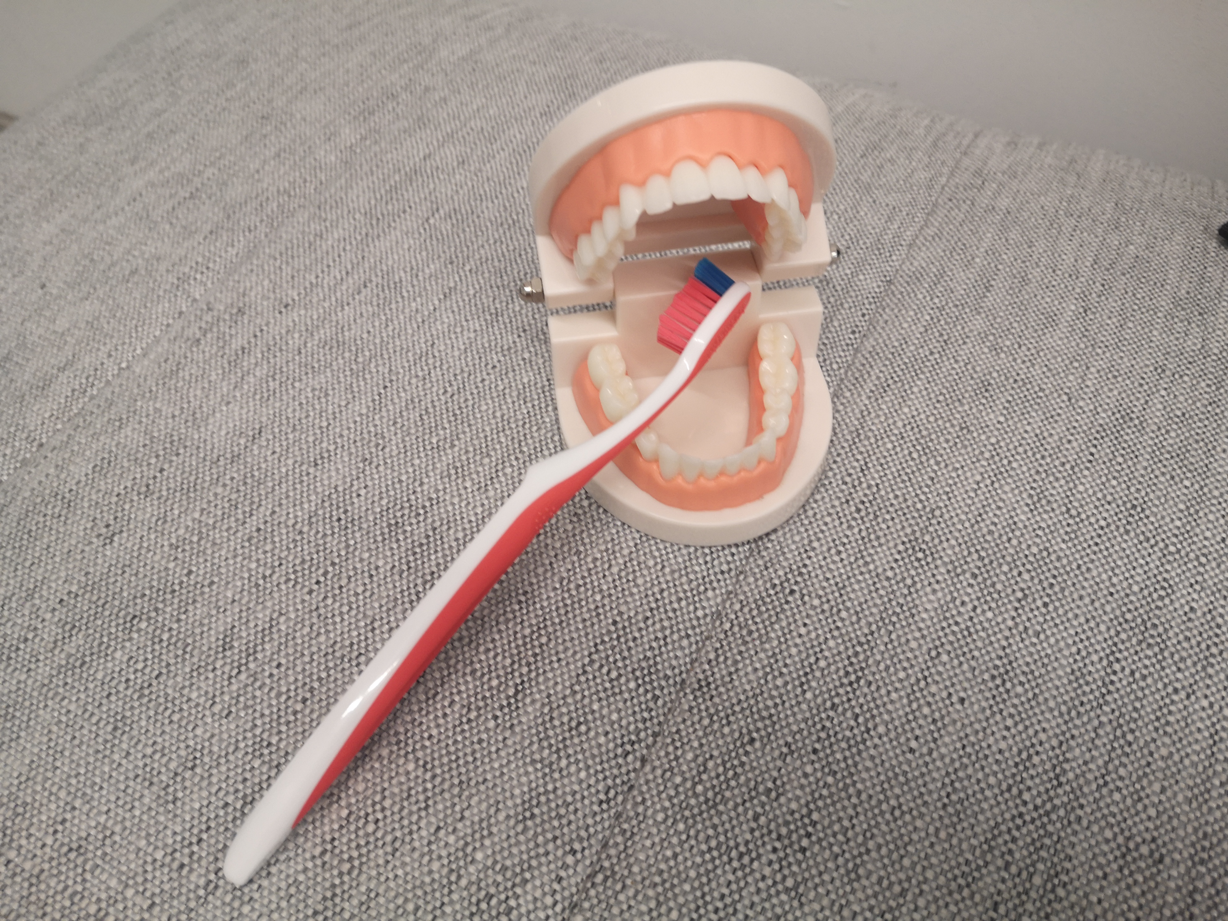 DentinhoFeliz_5